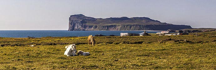 Kap Þórðarhöfði bei Hofsós