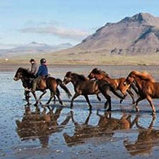 Islandpferde und Reiter auf der Halbinsel Snæfellsnes
