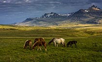 Breiðdalur: das „breite Tal“ im Osten