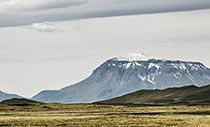 Herðubreið, die Königin der Berge