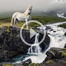 Video im Overlay Island-Reisen für Entdecker